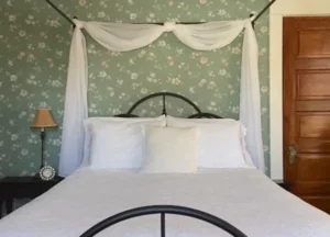 The Antebellum Room decorated with magnolia wallpaper and a plantation-style queen bed